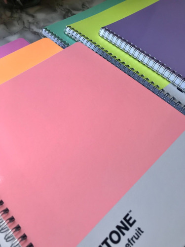 Cuaderno Universitario Rhein Pantone Pack X 6 Unidades