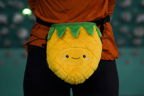 Rockbuddy - Bolsa De Gis Para Escalada En Roca - Cubeta De Gis Con Cinturón De Clip Rápido, Bolsillo Con Cierre Y Soporte Para Brochas, Picadura De Piña