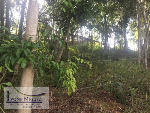 Imagem 2 de 4 de Terreno Em Recanto Dos Eucaliptos - Paty Do Alferes - 2968
