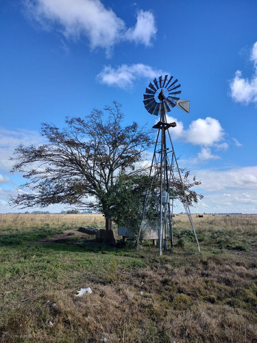 Hectareas En Venta En Oliden