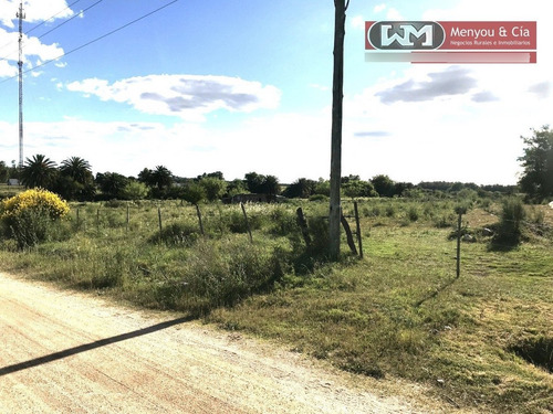 Venta Terreno En Trinidad Flores 8000 M2 40 Mts X 200 Mts