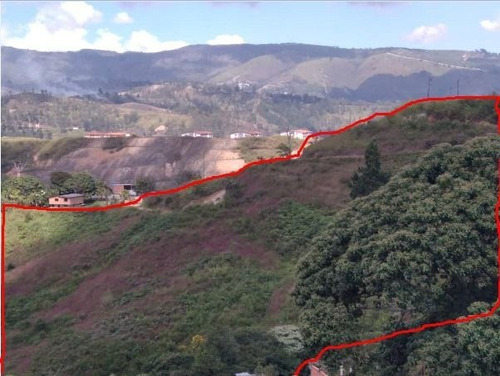 Imagen 3 de 13 de Terreno En Venta 13.5 Hectareas En Las Guamas Los Teques
