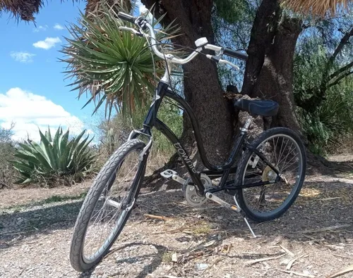 Bicicleta sales electra townie
