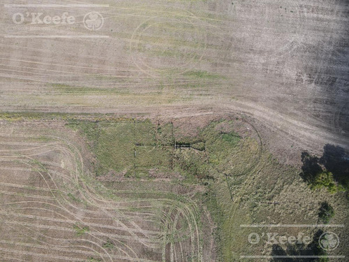 Campo De 380 Has En Coronel Pringles. 100 % Agrícola - Sobre Ruta !