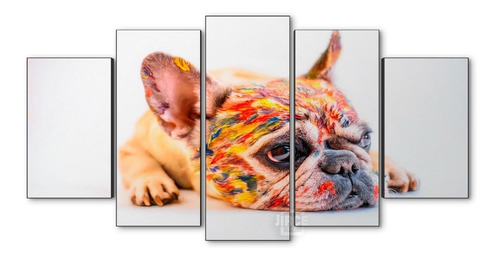 Cuadro Decorativo Moderno Perro Buldog Fránces Jd-0014 Xl Quíntuple 150x80 Cm Sin Marco