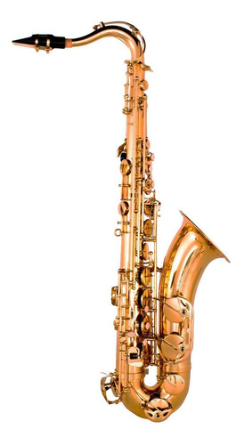 Saxofón Tenor Bb Dorado Con Estuche Ft-6435l Klingt
