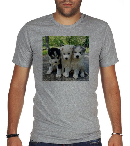 Remera De Hombre Husky Siberiano Cachorros