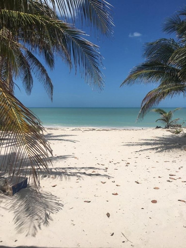 Imagen 18 de 19 de Casa Amueblada En Renta En Chuburna Puerto