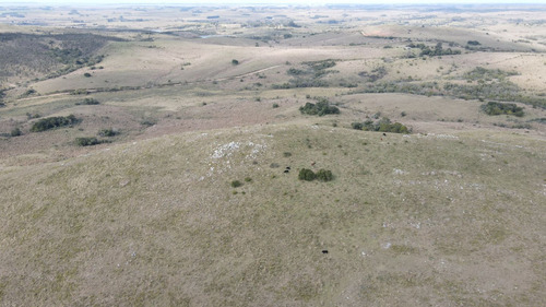 Campo En Rocha 78ha (ref: Atm-6768)