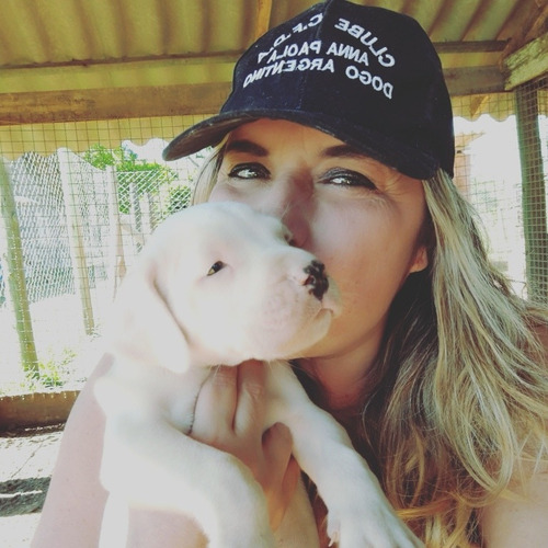 Dogo Argentino