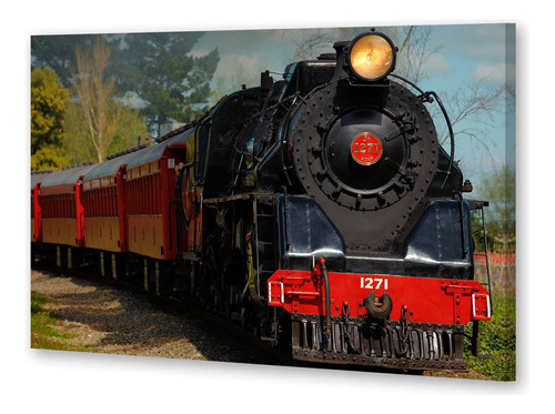 Cuadro 50x75cm Locomotora Trenes Ferrovias Anden Viaje P3