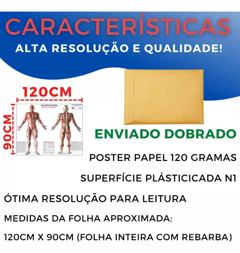 MAPA - ACUPUNTURA - ROTAS DA ENERGIA - GIGANTE: LARGURA 117 CM X