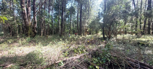 Venta Parcela Villarrica Altos De Pino Huacho (173215)