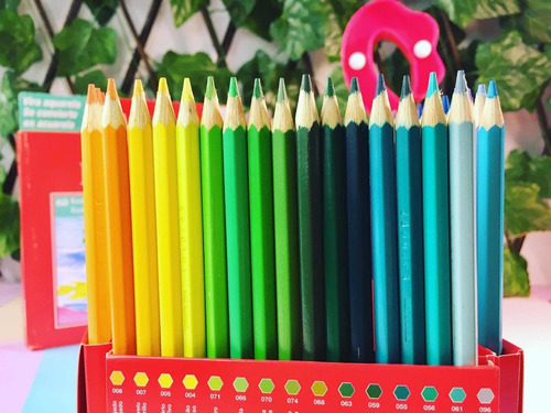 Imagen 9 de 10 de 60 Lápices Acuarelables Faber Castell Gratis Pincel