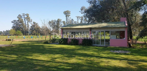 Imagen 10 de 28 de Terreno En Venta O Permuta Ubicado En General Rodríguez, General Rodríguez