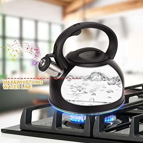 Tetera De 2.5 Litros Con Mango Ergonómico De Acero Inoxidabl