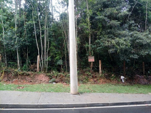Imagem 2 de 4 de Terreno Comercial Esquina Com Pouca Vegetação