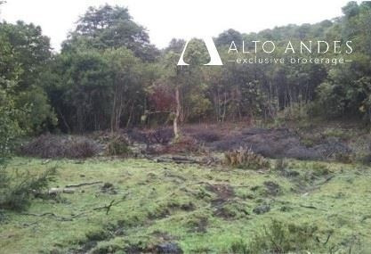 Imagen 13 de 13 de Sitio En Venta En Cochamo