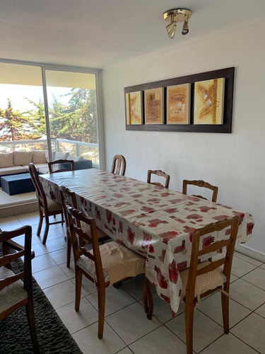 Arriendo Departamento Amoblado Pinares De Cachagua, Zapallar