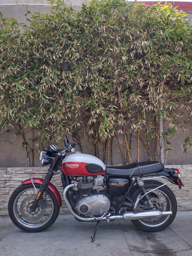 Boneville Edición Especial Bud Ekins T100