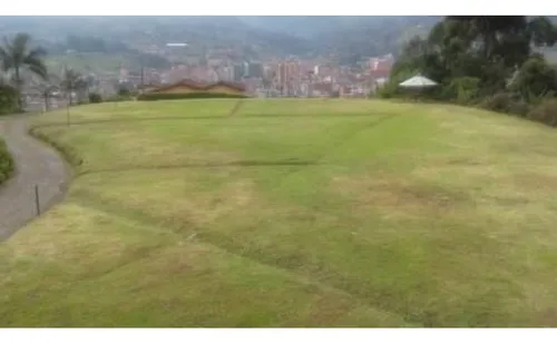 Lote Caldas