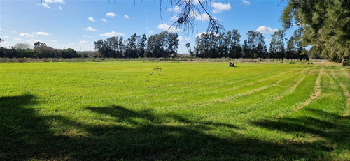 Venta Chacra 28 Ha Abayuba Arroyo Y 2 Tajamares C.rigel