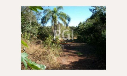 Terreno Em Teresópolis - Vi1060