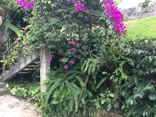 Venta Y Renta De Casa Sola Frente Al Lienzo Charro, Cuernavaca Morelos