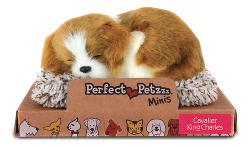 Perfect Petzzz - Bolsa De Nailon Y Malla Para Perros Y Gatos