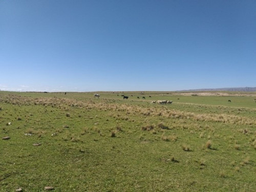 Imagen 7 de 11 de Se Venden 400 Hectareas Ganaderas En Los Gigantes Cordoba