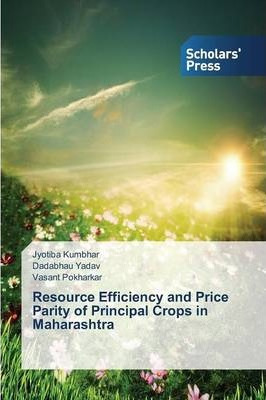 Libro Resource Efficiency And Price Parity Of Principal C...