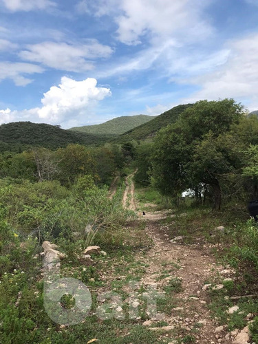 Imagen 5 de 30 de Vendo Campo De 2, 5 Hectareas Entre Unquillo Y Cabana
