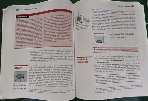 Física Conceptual. Paul G. Hewitt (Usado)