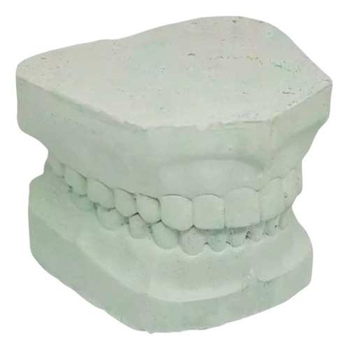 Modelos De Yeso Piedra Verde Dentado Total Sup E Inf Chico