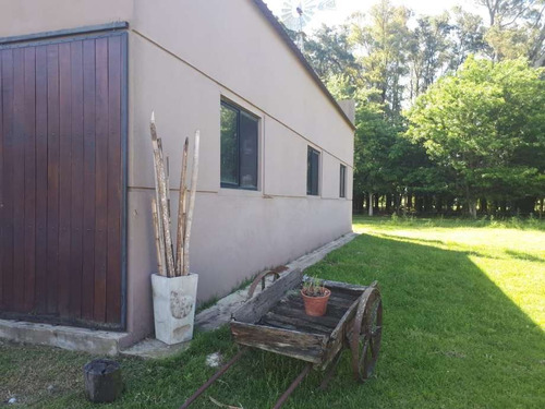 Imagen 13 de 14 de Chacra En Venta En San Miguel Del Monte