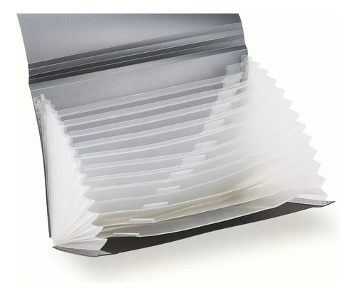 Archivero Expandible Carpeta Para Documentos Organizador Color Gris