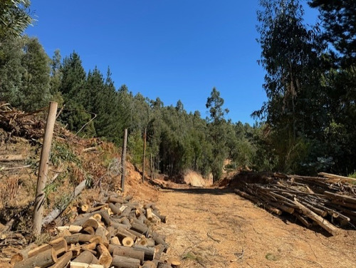 Loteo/parcelas Nonguén A Pasos De La Reserva