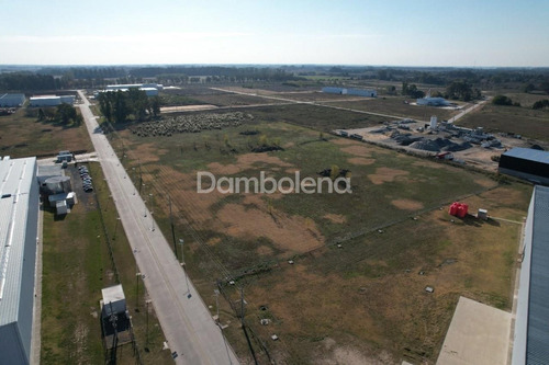 Imagen 6 de 17 de Terreno Lote En Venta Ubicado En Los Cardales, Exaltación De La Cruz, G.b.a. Zona Norte