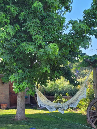 Casona Con Gran Sitio Urbano
