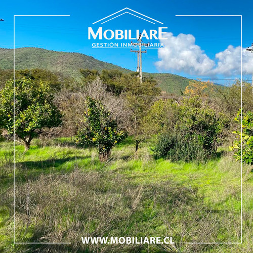 Exclusiva Parcela Agroresidencial /casa 3 Dorm De 10.000 M2