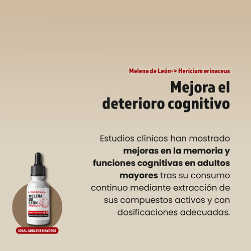 12 Extractos Hongo Melena De León 100% Puro -50% Desc