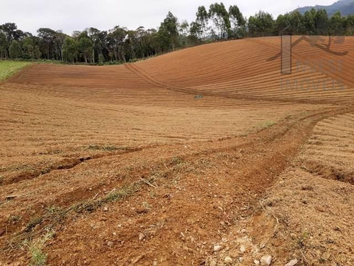 Imagem 6 de 15 de Cód 4204- Excelente Terreno Em Ibiúna. - 4204
