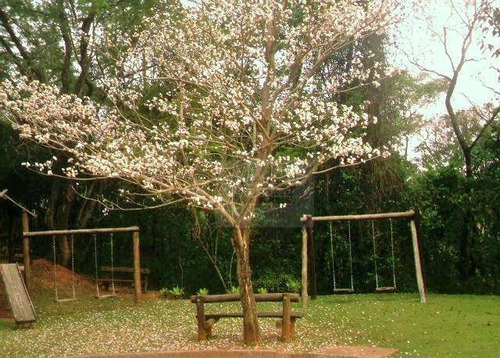 Terreno À Venda, 1978 M² - Condomínio Jardim Primavera - Louveira/sp - Te1897