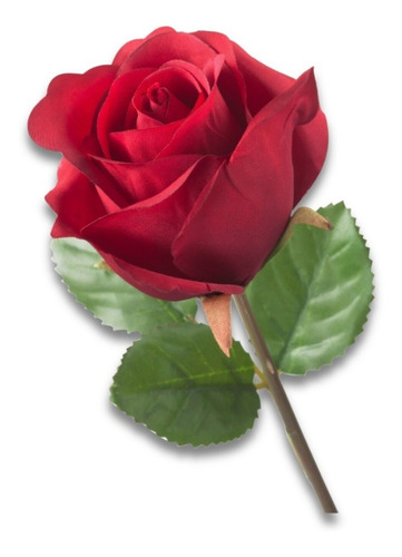 Imagen 6 de 7 de Rosas Flor Artificial Roja Rosada Blanca 66 Cm