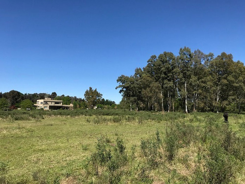 Imagen 1 de 12 de Terreno En Venta En San Antonio De Areco