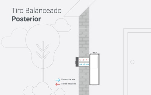 Calefactor A Gas Lp De Tiro Balanceado Color Grafito