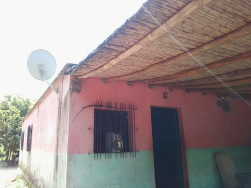 Imagen 3 de 15 de Se Vende Finca En Nirgua Sector Las Palmas / Yaracuy.
