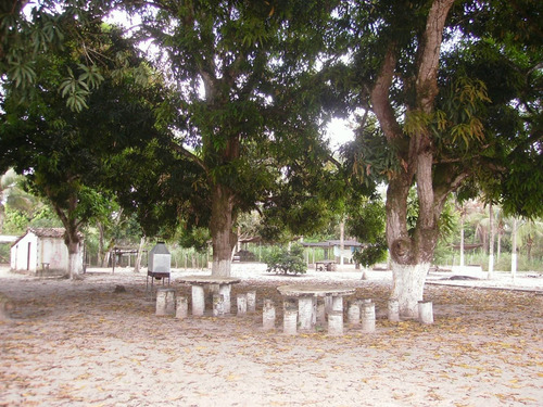 Imagem 12 de 14 de Vende-se Chácara No Centro De Alagoinhas