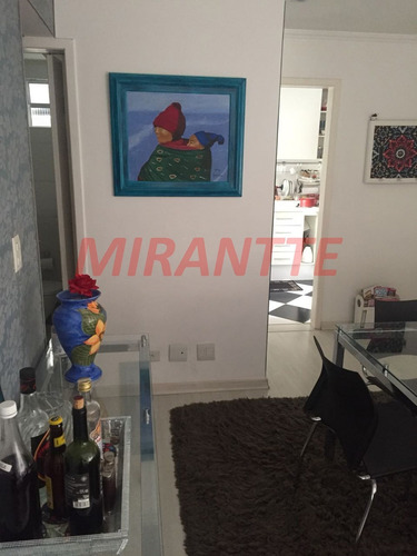 Imagem 9 de 16 de Apartamento Em Tucuruvi - São Paulo, Sp - 303969