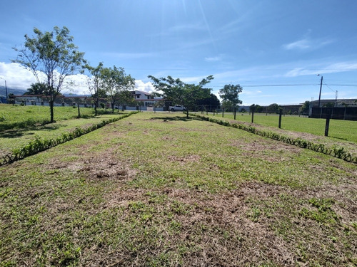 Imagen 3 de 12 de Venta De Lotes En Pérez Zeledón, Calle Foster, Los Chiles